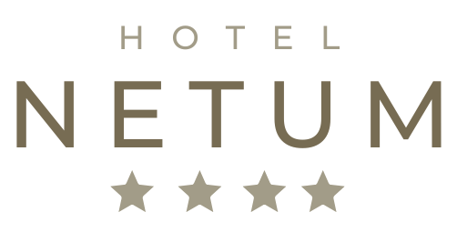 Hotel Netum Noto Logo